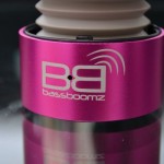 BassBoomz (Logo Close-up)