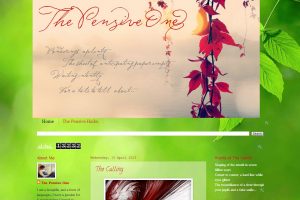 Blogger Interview With The Pensive One