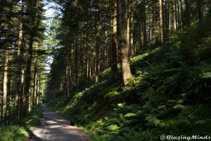 There is nothing better than a nice relaxing walk around Craig Forys in Betws y Coed