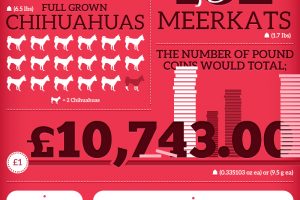 Do you measure your Vin Diesel in Emma Watsons or Chihuahuas?