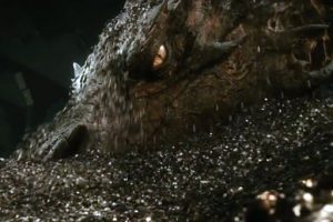 Review: The Hobbit: The Desolation of Smaug