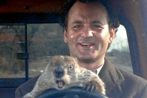 As It Is Groundhog Day, What Better Than An Infographic