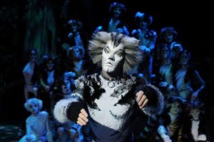 Cats – A Memorable Performance at Venue Cymru