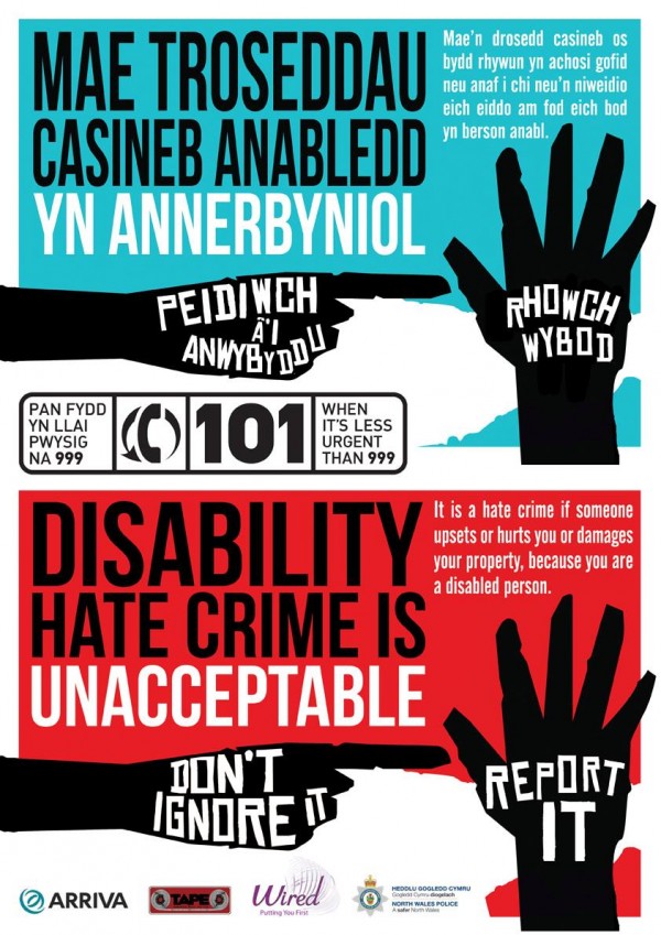 Disability Hate Crimes - Cyber Bullying