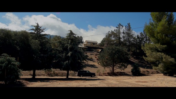 The Lost Tree Cabin