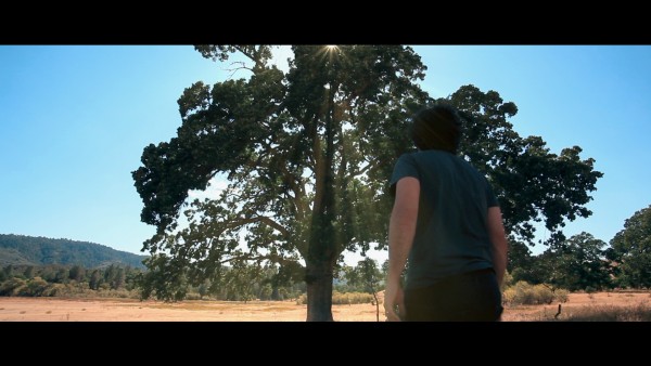 The Lost Tree Thomas Nicholas