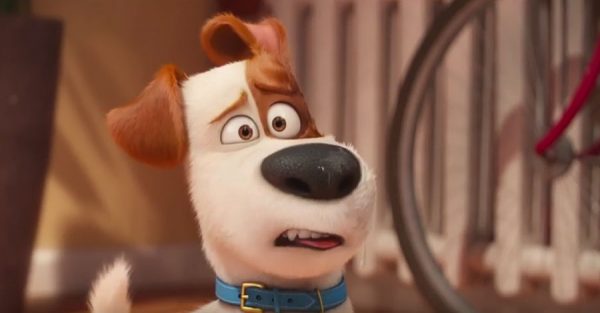 secret life of pets max