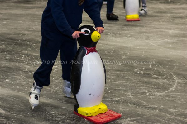 Venue Cymru on Ice - A Helpful Penguin