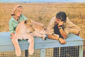 1966 Classic Movie, Born Free, is Making its way to Dual Format (Blu-ray & DVD)