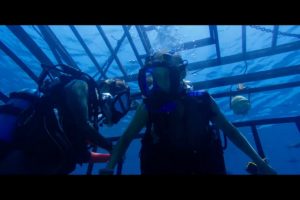 47 Meters Down – Sharks with not so much Bite! – Film Review