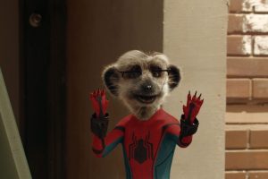 Meerkat Movies Launch New TV Advert for Spider-Man: Homecoming