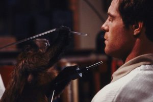 Monkey Shines – An Experiment in Fear! – Blu-ray Review