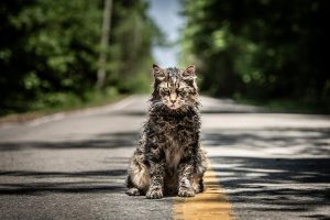 Pet Sematary Trailer Looks Terrifying, in Cinemas 2019