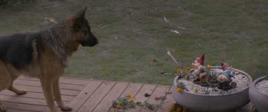 Under The Tree - Eureka Entertainment 1