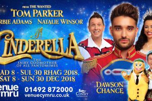 You Shall Go To The Ball, Thanks to Cinderella at Venue Cymru – Review