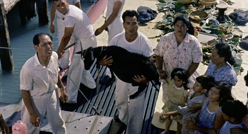 Operation Petticoat Grabs 14