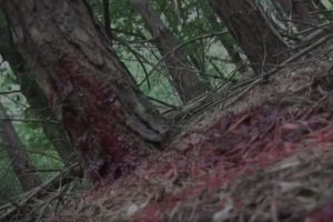 Horror-on-Sea Interview with ‘The Devils Familiar’ director Kieran (Ran) Edwards