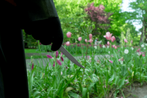 Horror-on-Sea Interview with ‘Blood Tulips’ co-directors Randy Kent and John Luksetich