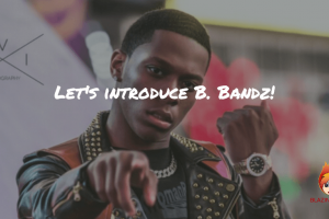 Let’s introduce B. Bandz!