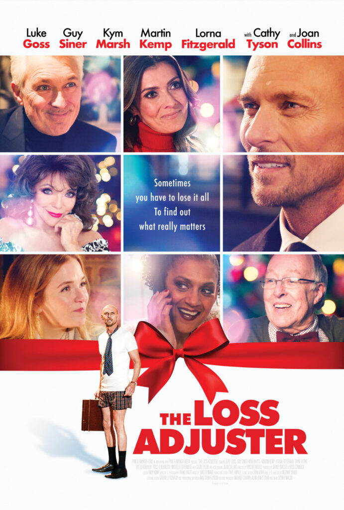 The Loss Adjuster Poster