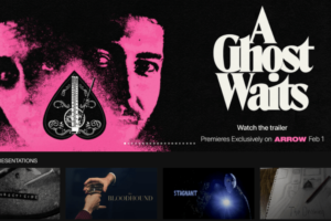 ARROW Channel Offers Classic and Cutting Edge Cult Cinema this February