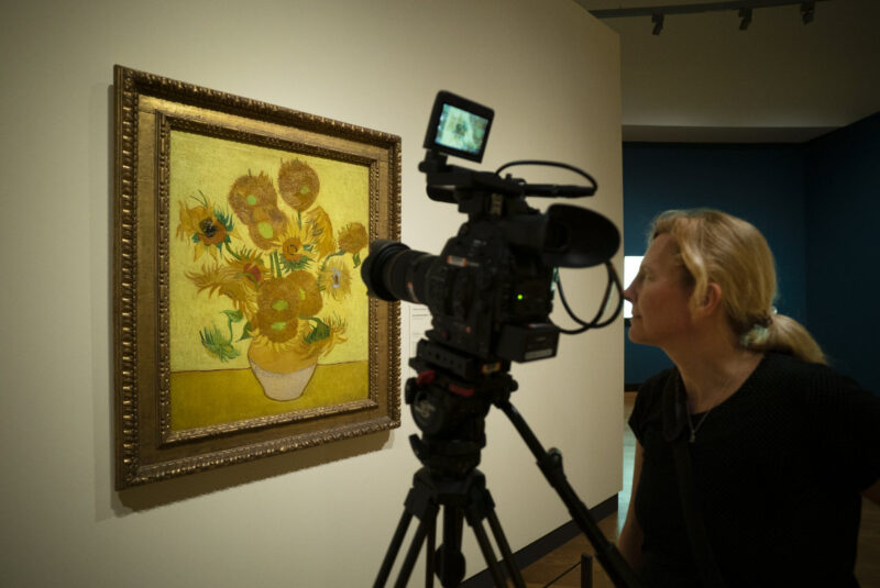 Sunflowers Filming