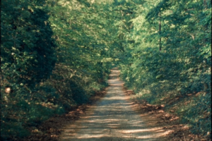 Four Roads (Quattro Strade) – Film Review