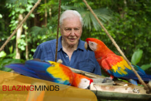 The visually stunning Life in Colour with David Attenborough, available on Blu-ray, DVD and Download-to-Own