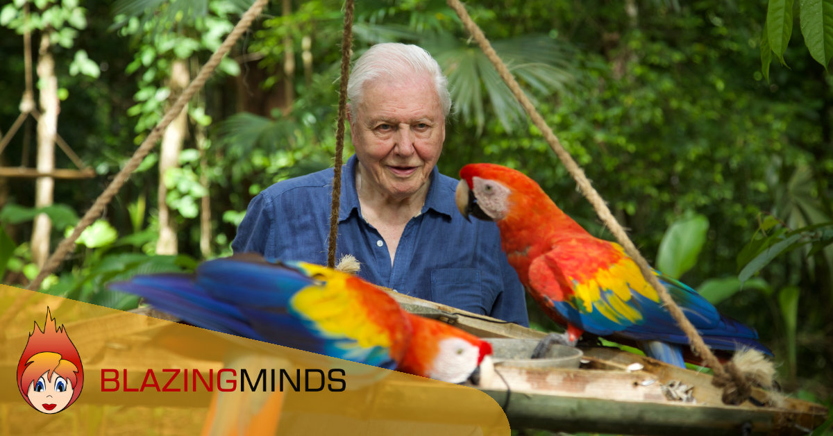 The visually stunning Life in Colour with David Attenborough, available on Blu-ray, DVD and Download-to-Own The visually stunning Life in Colour with David Attenborough, available on Blu-ray, DVD and Download-to-Own