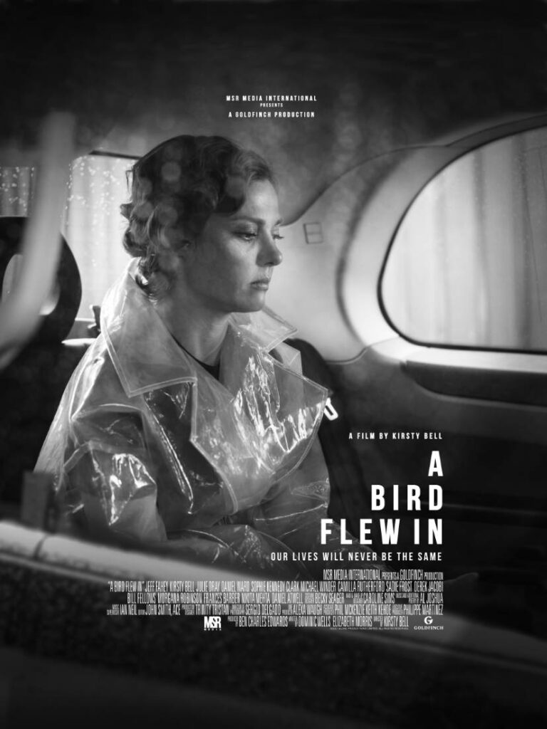 A Bird Flew In - Poster