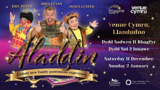 Aladdin Venue Cymru 2021