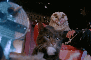 Shameless Films presents Stagefright on Blu-ray and digital on-demand 27 December