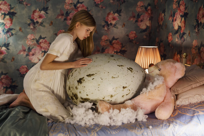 Hatching - Still