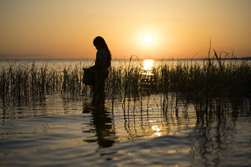 Where The Crawdads Sing - Young Kya