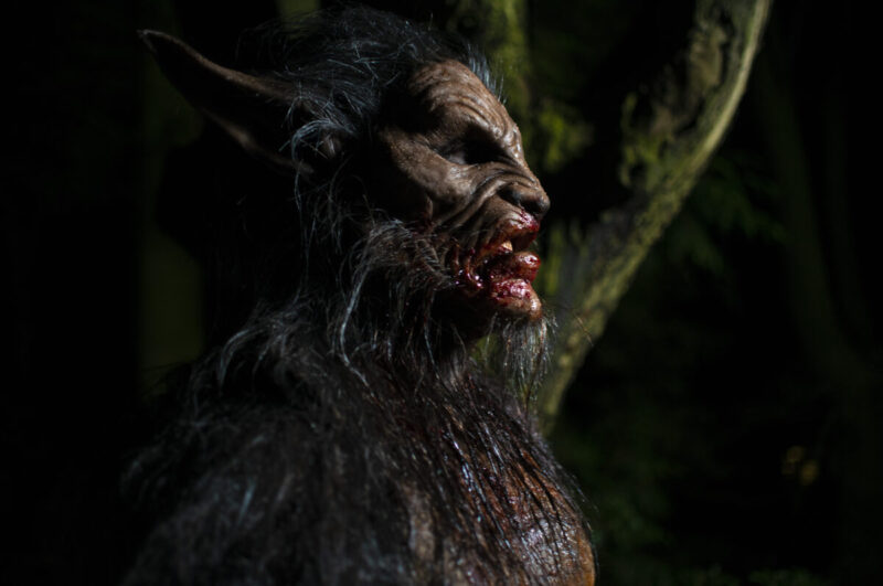 Wolf Manor - Werewolf Still