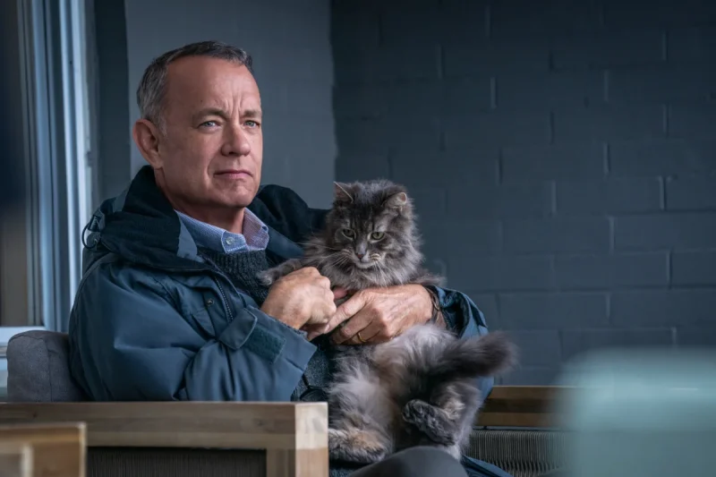 Tom Hanks with cat