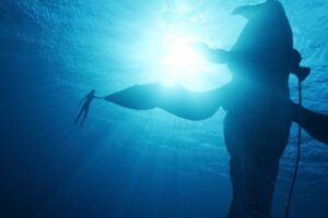 Avatar: The Way of Water swims back to Number 1 on the Official Film Chart