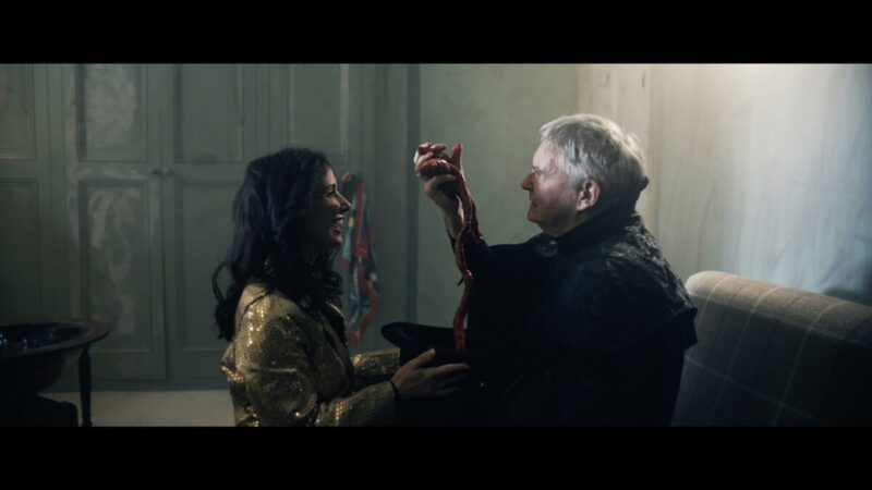 James Fleet in Wolf Manor