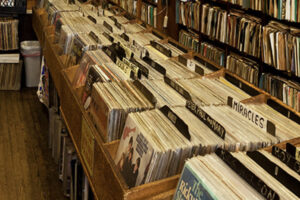 It’s In The Bin – A list with links of Musicians that you need to be on the lookout for
