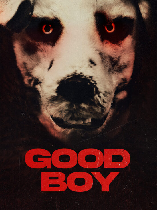 Good Boy Poster Art