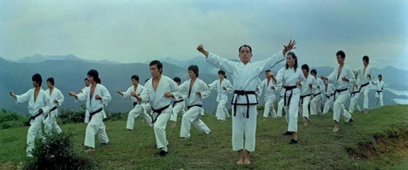 When Taekwondo Strikes 2