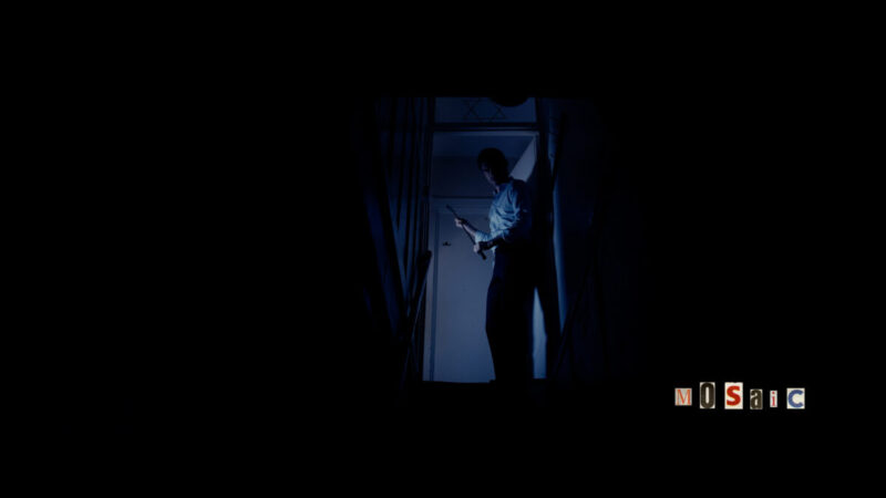 Mosaic Still