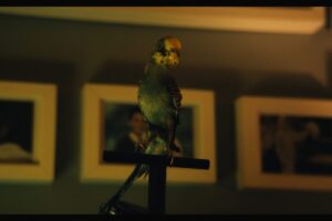 Exclusive Horror-on-Sea interview with ‘Yellow’ Actor-Producer Cameron Bell