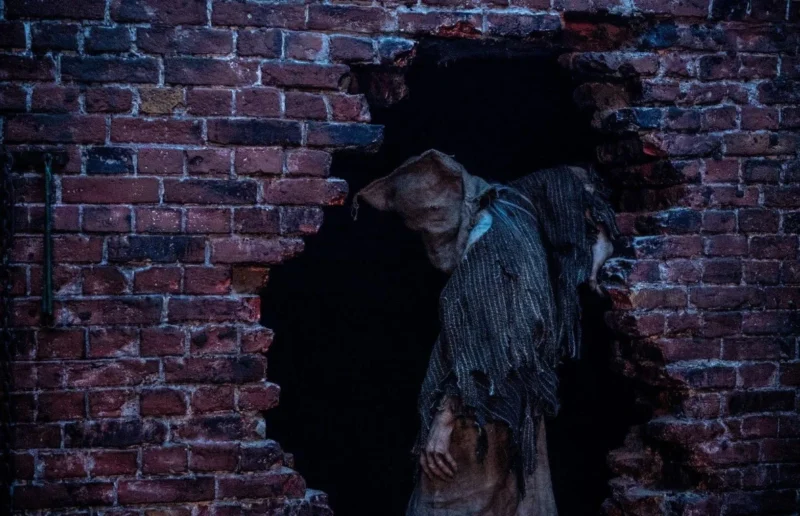 Anne Müller in Baghead