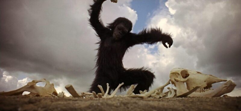 The Dawn of Man - 2001 A Space Odyssey