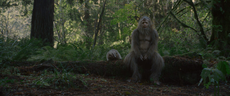 Jesse Eisenberg in Sasquatch Sunset (2)