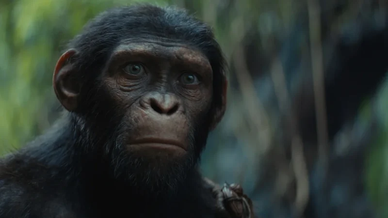 Kingdom of the Planet of the Apes - Noa