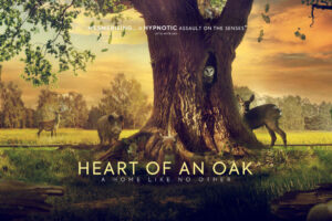 Heart of an Oak is Making Its Way to Selected UK Cinemas in July