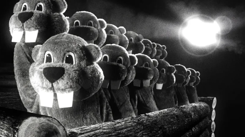 Hundreds of Beavers_still05