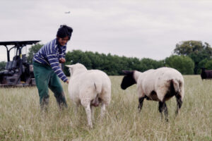 Exclusive Southend Film Festival Interview With ‘From Thailand to Tenbury: Showing Sheep in the Shires’ Director Simon Frith